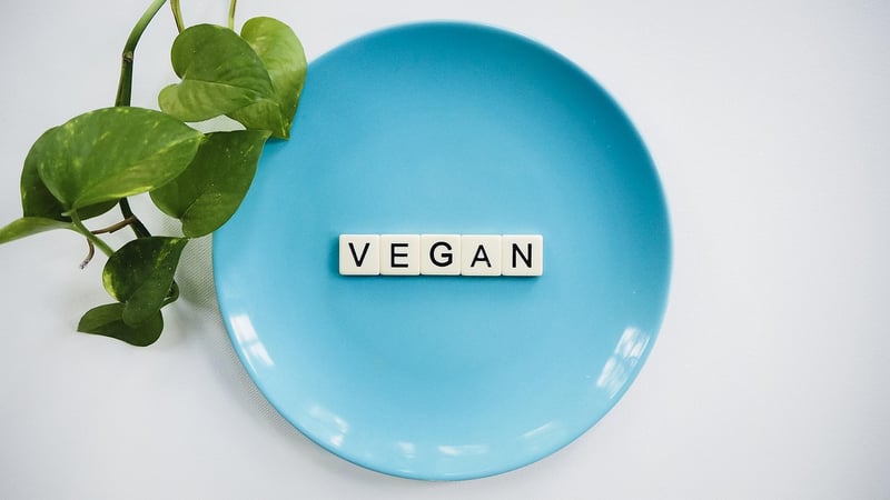 Plant-Based Plates